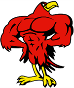 Marrs Falcon