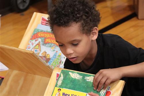 A student looks at books