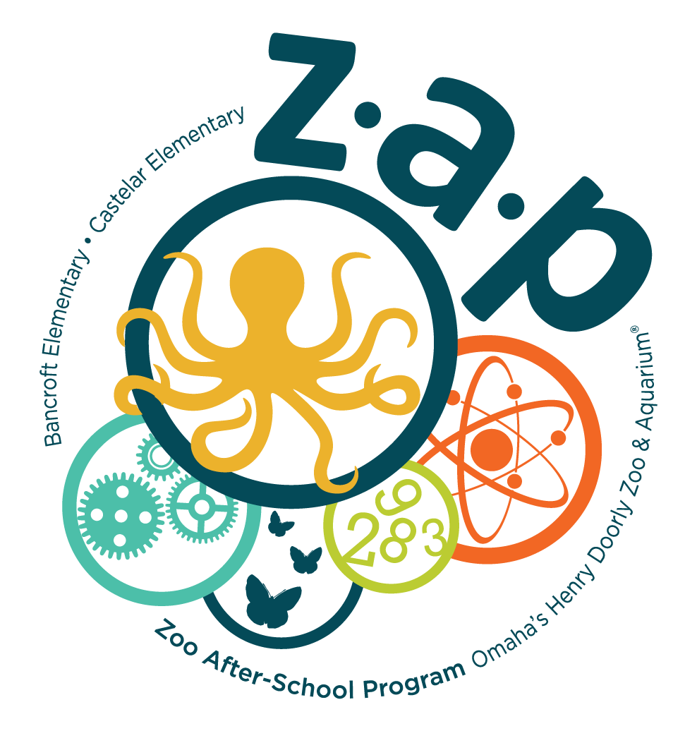 ZAP ZAP