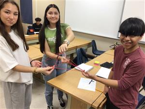Freshman classroom activity
